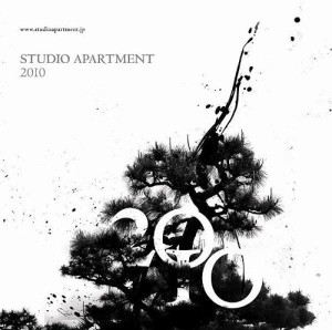 STUDIO APARTMENT - 2010(2010)